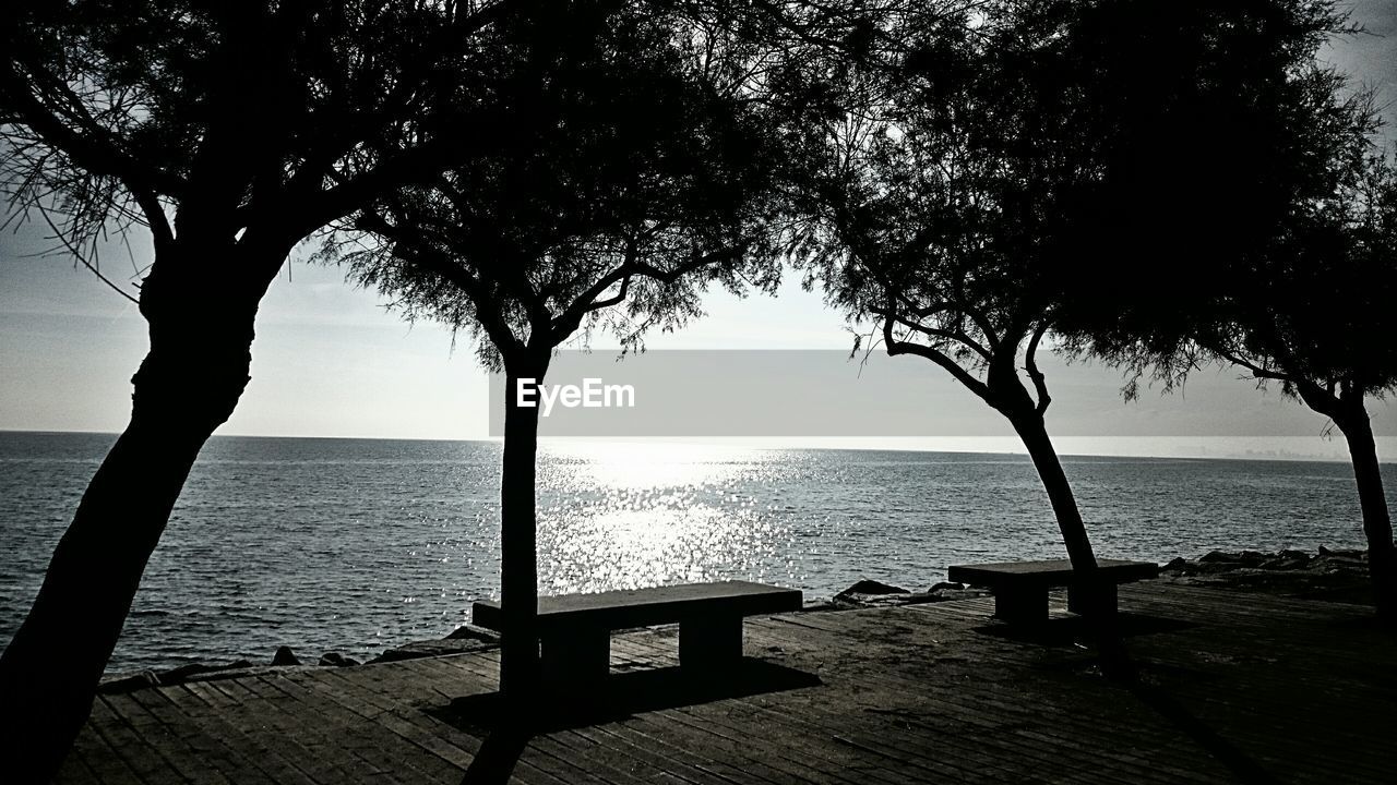 SCENIC VIEW OF SEA WITH TREES IN BACKGROUND