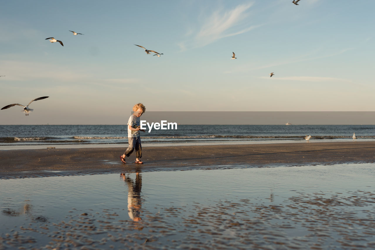 Young boy holding a shell walking in the sand on a beach