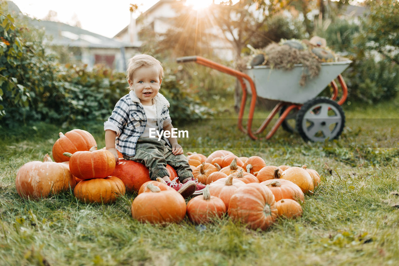 A cheerful boy in a plaid shirt is sitting on a large pile of orange pumpkins and smiling. harvest,