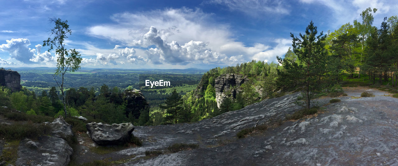 Scenic view of river amidst trees against sky