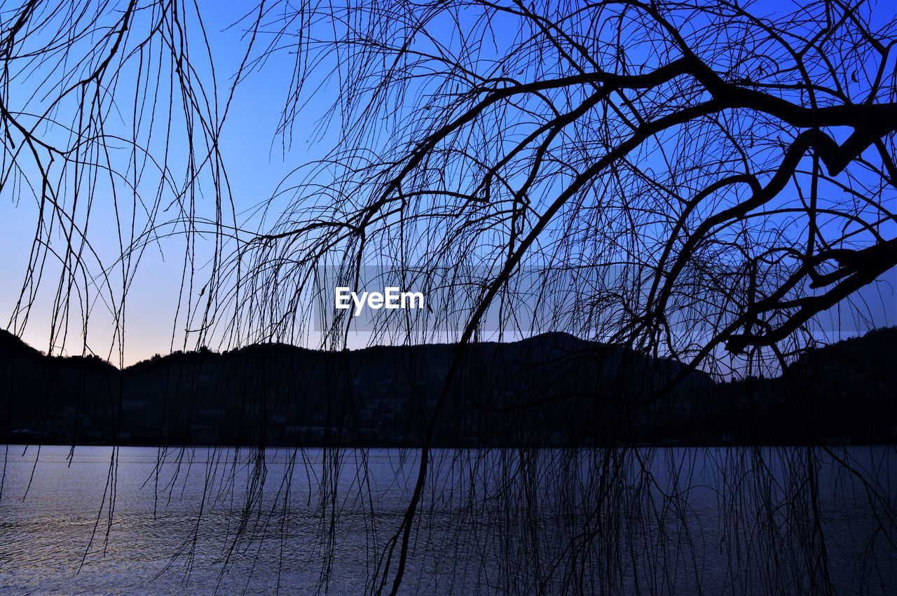 BARE TREE BY LAKE AGAINST SKY