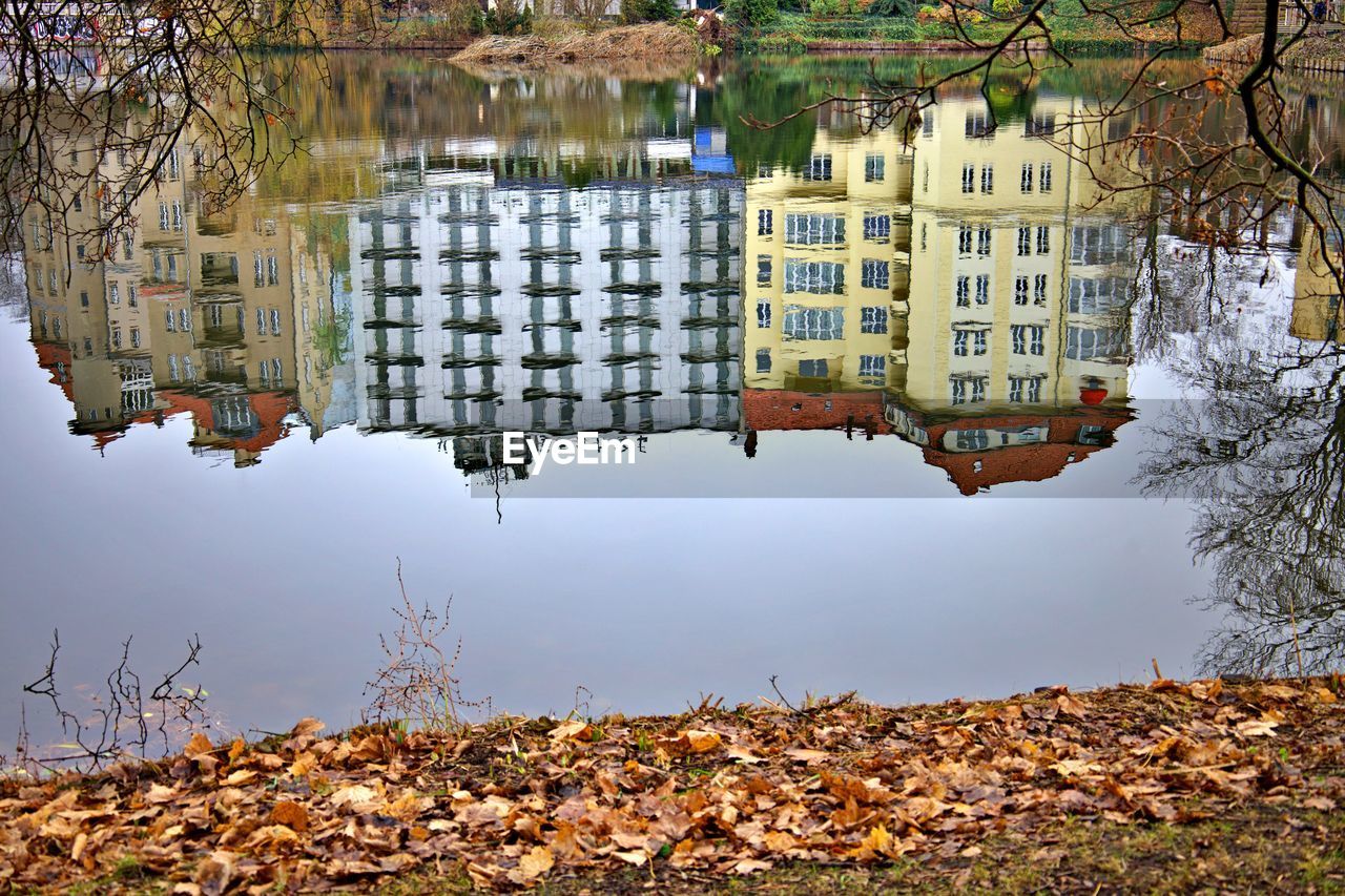 Mirror image of buildings in a lake