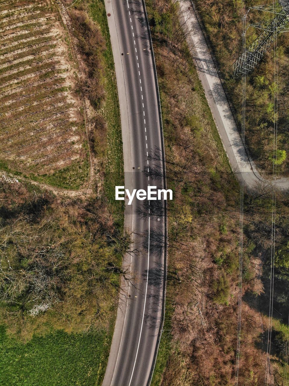 High angle view of road amidst trees in forest