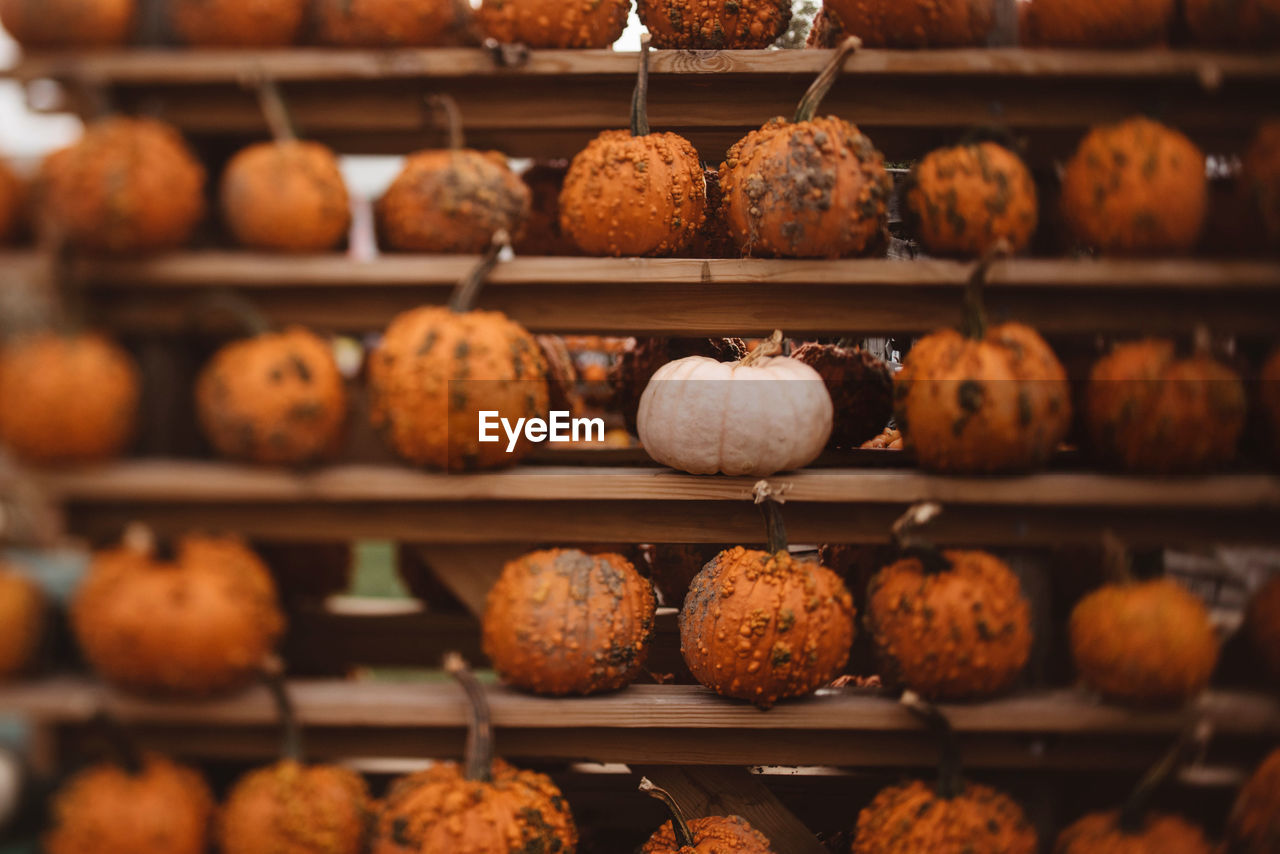 CLOSE-UP OF FOOD FOR SALE