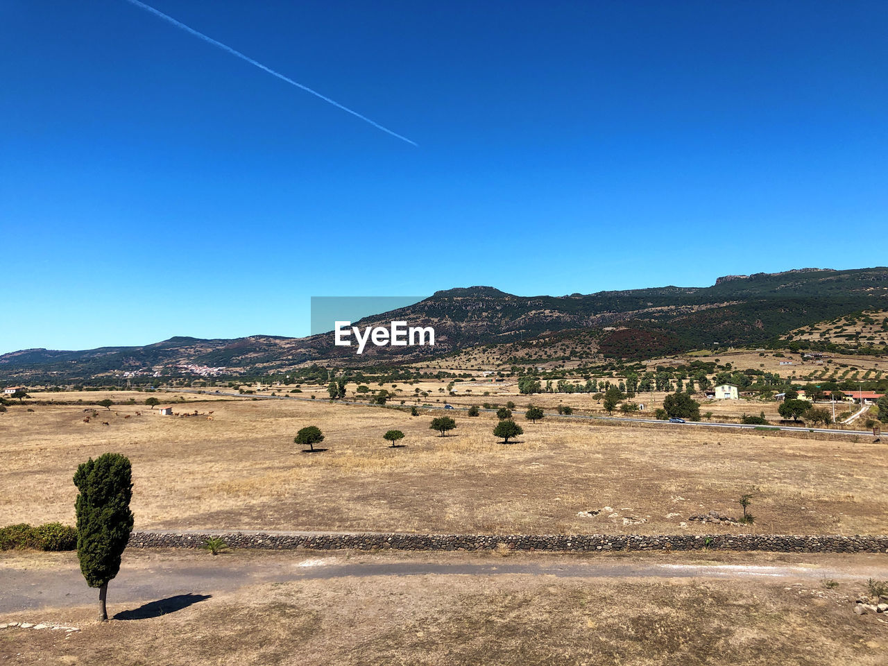 Scenic view of field against clear blue sky
