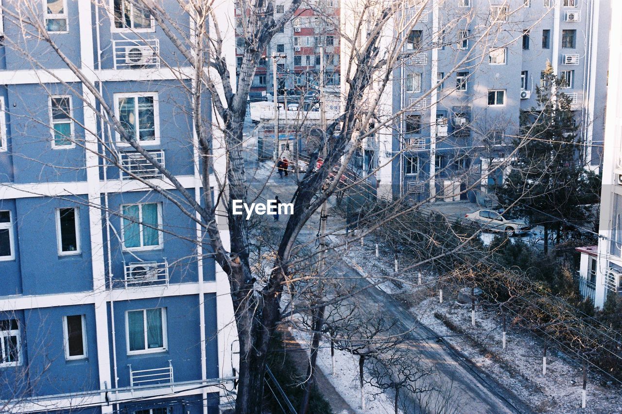 TREES AND BUILDINGS IN TOWN