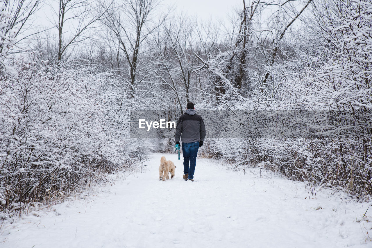 Man walking a dog on snowy trail through the woods on a winter day.