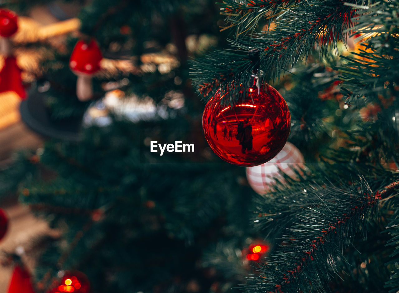 Close-up of christmas decorations hanging on tree