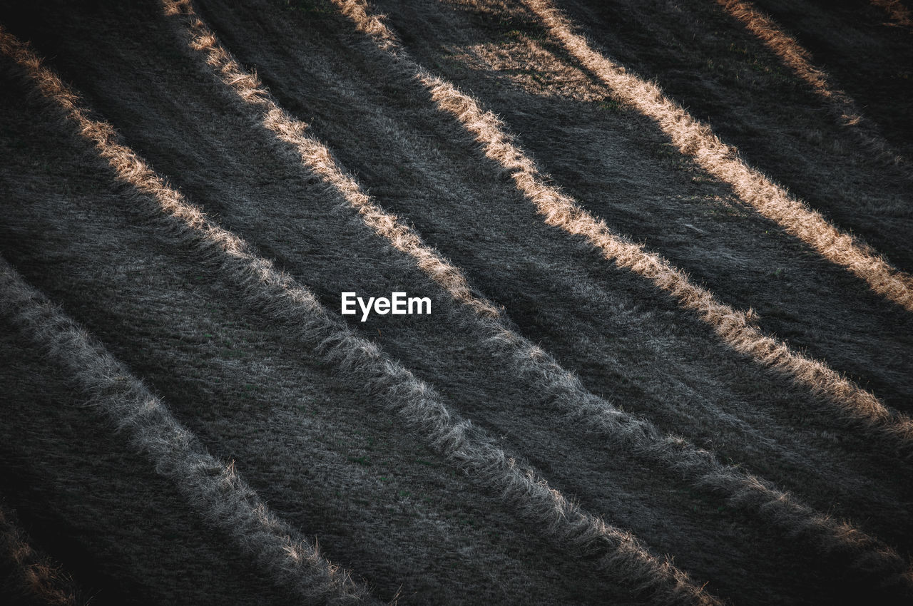 full frame, backgrounds, brown, pattern, no people, textured, black, textile, close-up, wool, high angle view, striped, flooring, indoors, nature