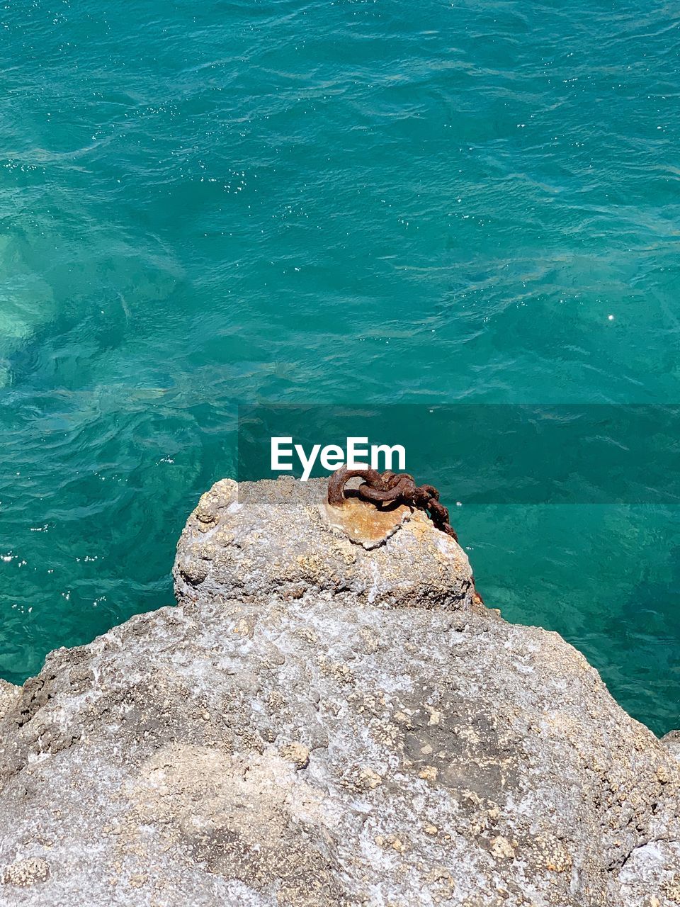 HIGH ANGLE VIEW OF ANIMAL ON ROCK BY SEA