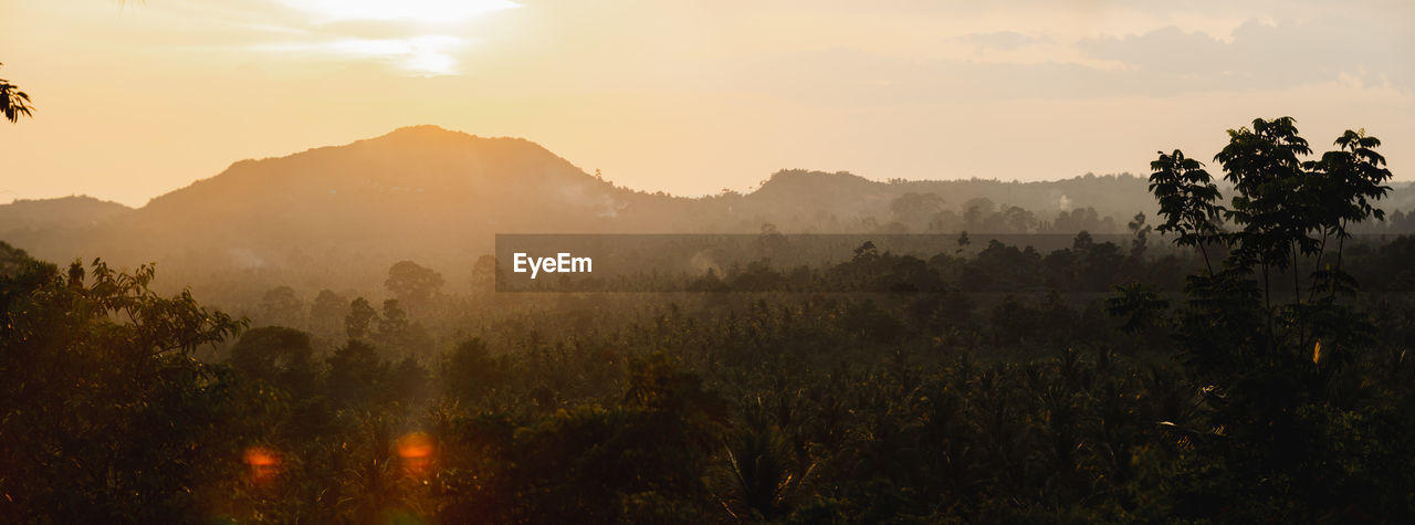 Panorama watch the sunset in the autumn of fog covered mountains in the dry rice tops of koh phangan