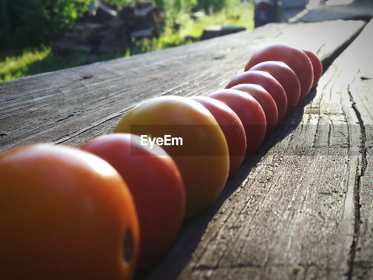 Tomatoes in a row on wooden table