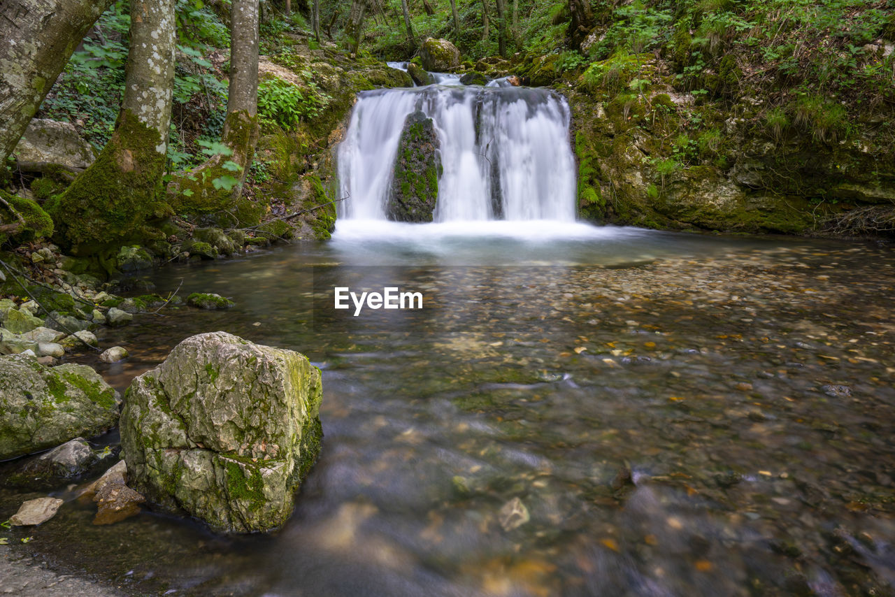 SCENIC VIEW OF WATERFALL