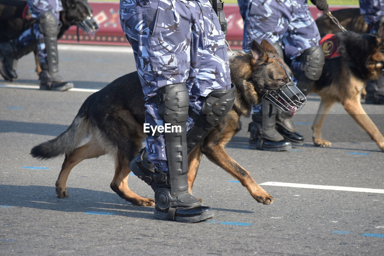 LOW SECTION OF PEOPLE WITH DOG ON ROAD