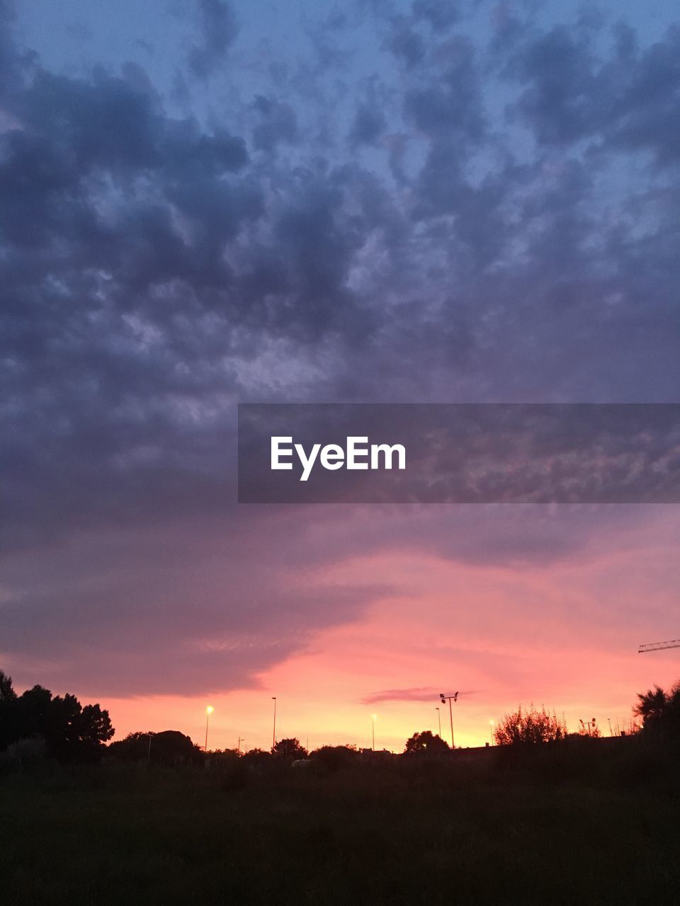 SILHOUETTE TREES ON FIELD AGAINST ORANGE SKY