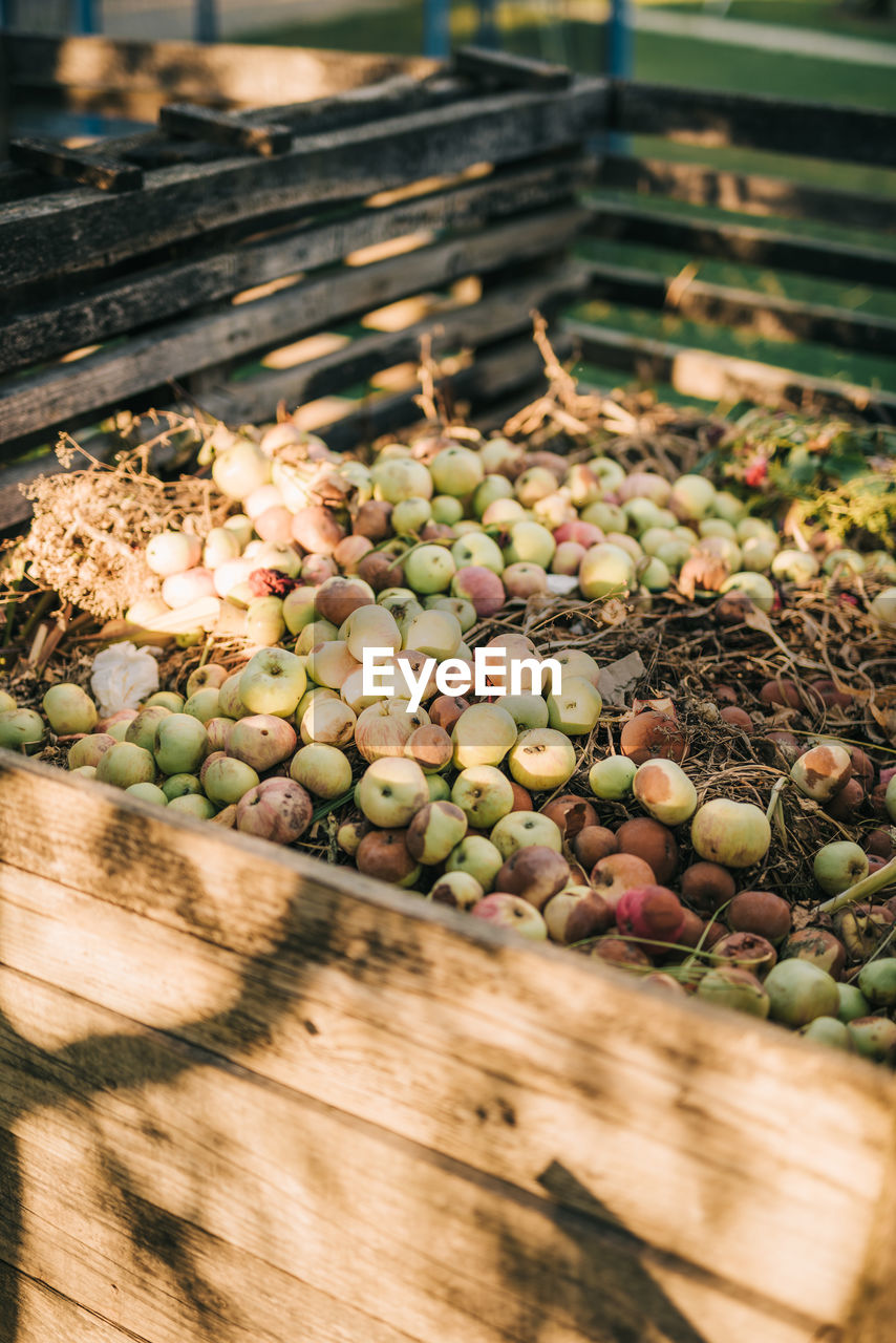 High angle view of grapes in market