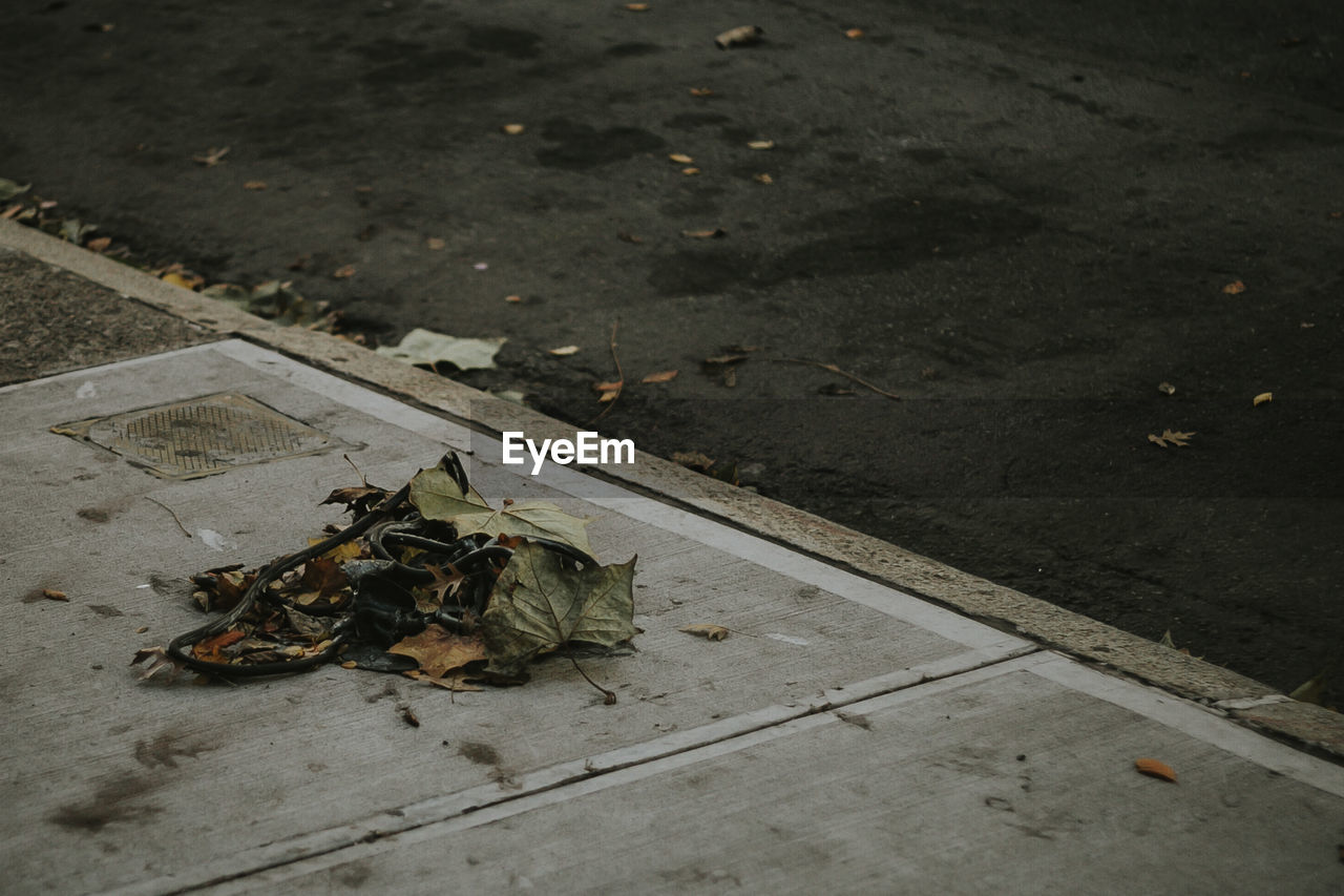 High angle view of dried dry leaves on road