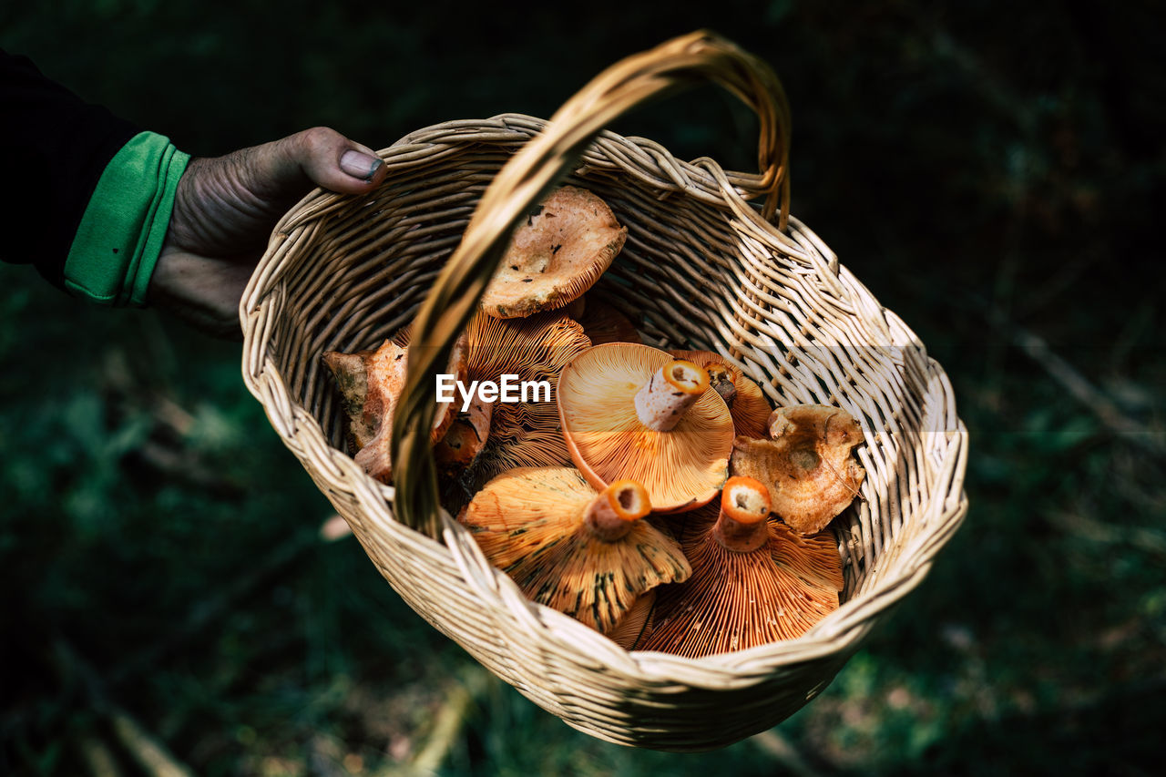 HIGH ANGLE VIEW OF HAND HOLDING BASKET IN WICKER