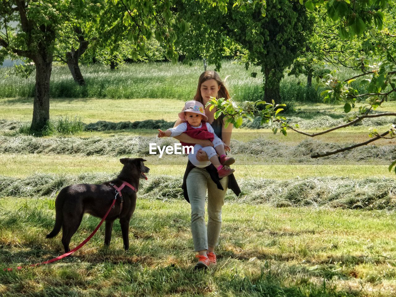 REAR VIEW OF WOMEN STANDING BY TREES