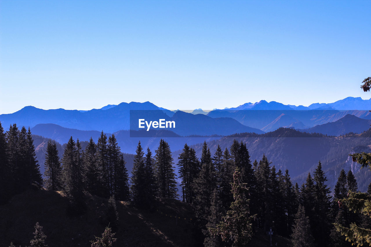 Trees with mountain range in background