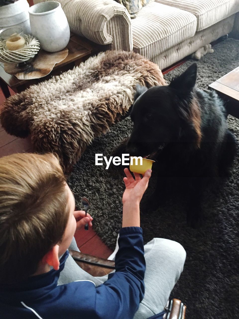 High angle view of teenage boy feeding dog