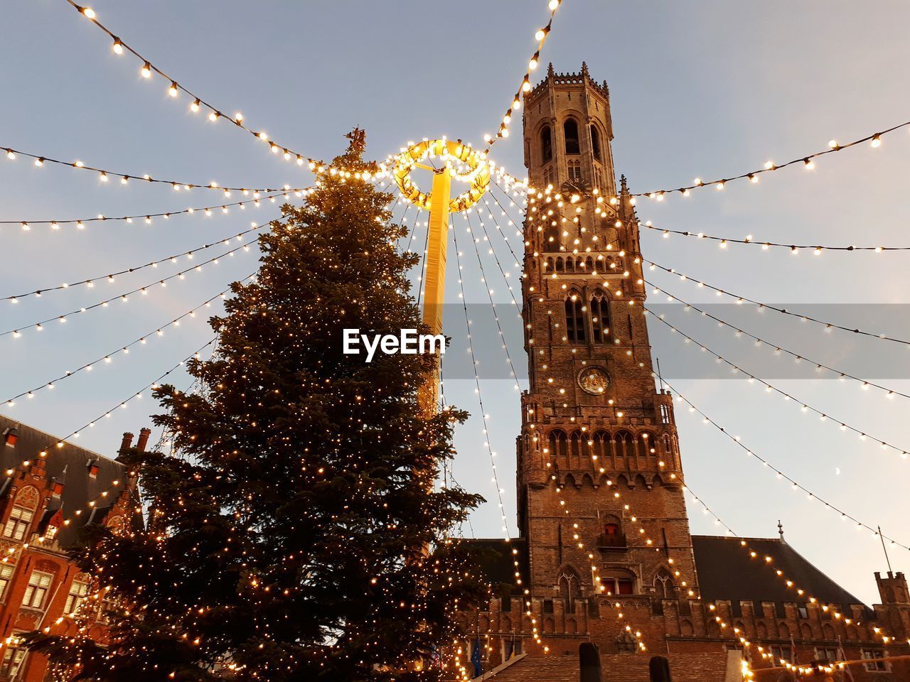 Low angle view of belfort tower and a christmas tree against sky at dusk in bruges