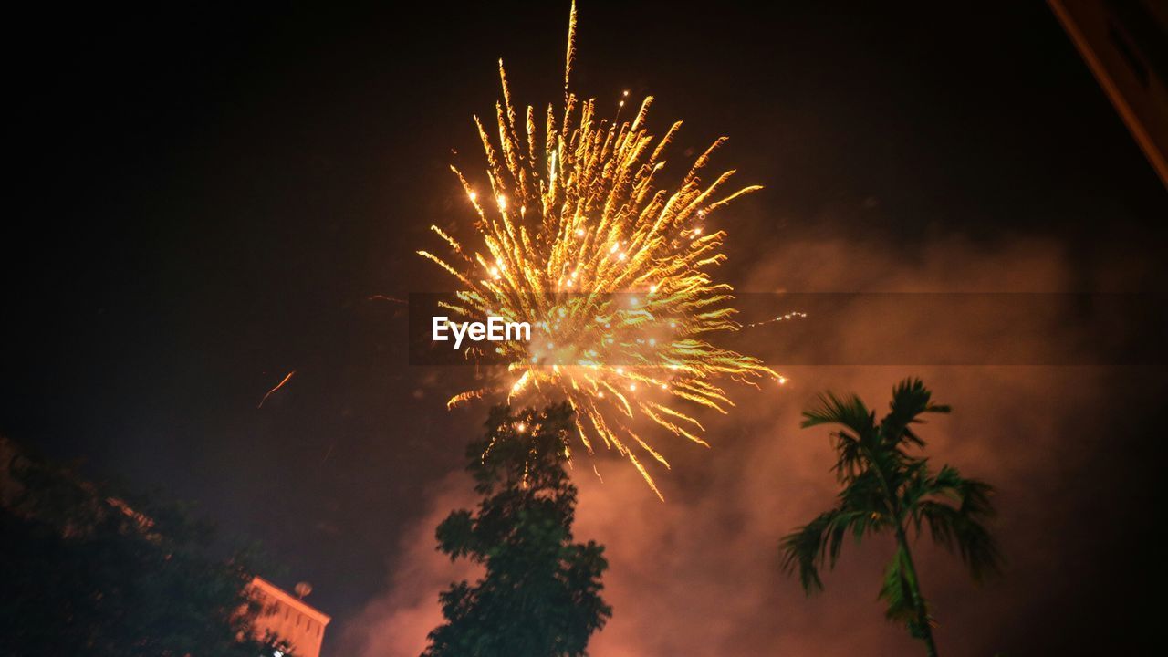 Low angle view of firework display at night