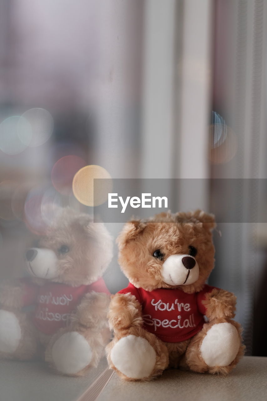 View of stuffed toy