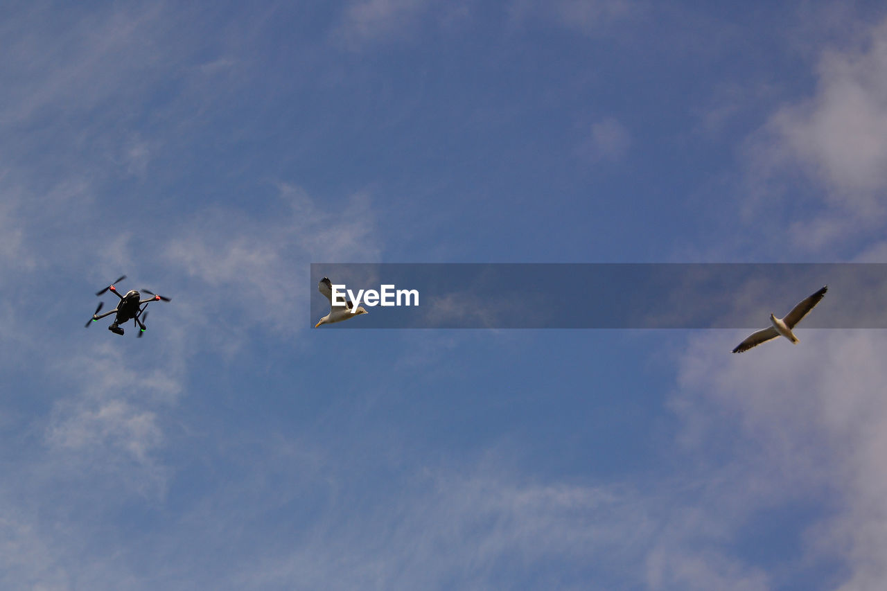 Low angle view of drone and seagulls in sky