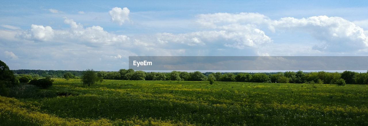 PANORAMIC VIEW OF LAND AGAINST SKY