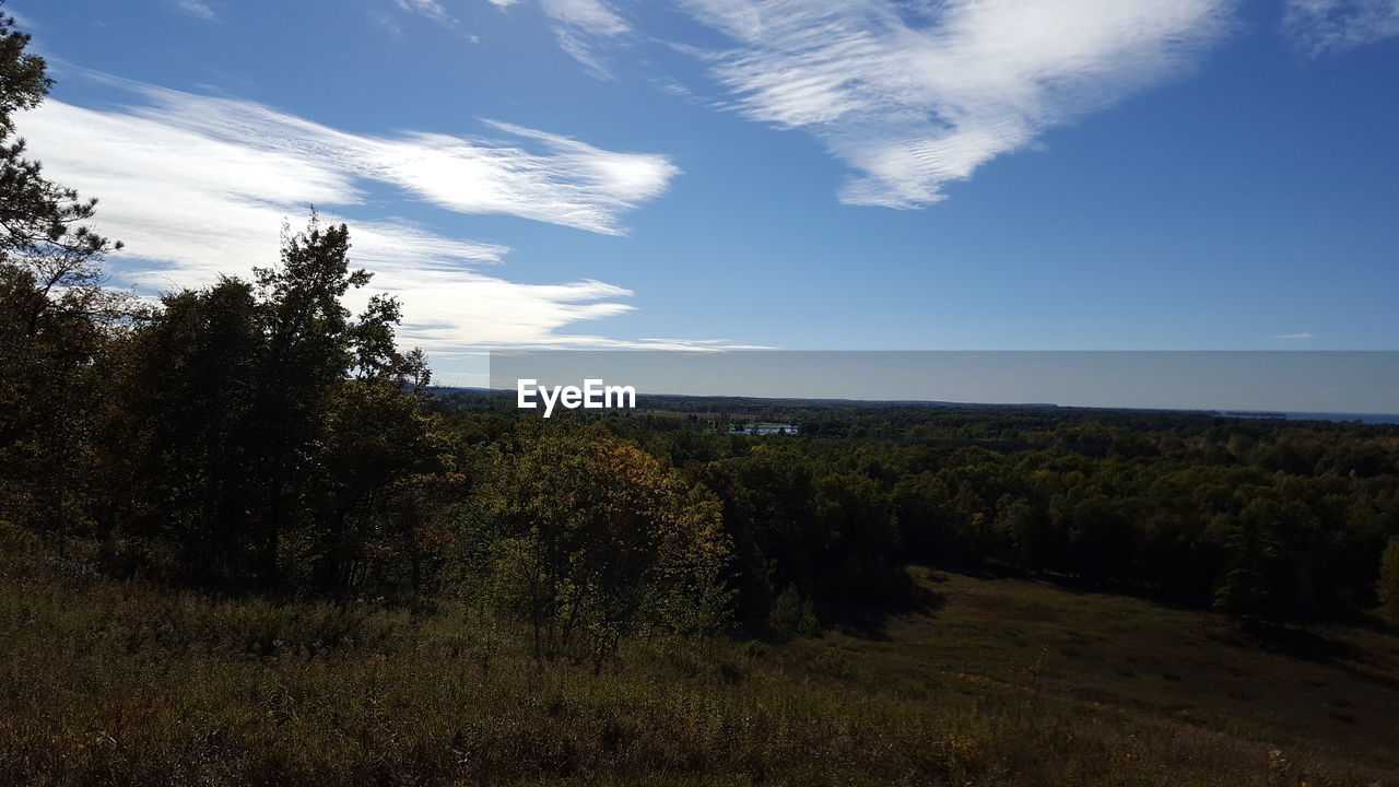 Trees on landscape against blue sky