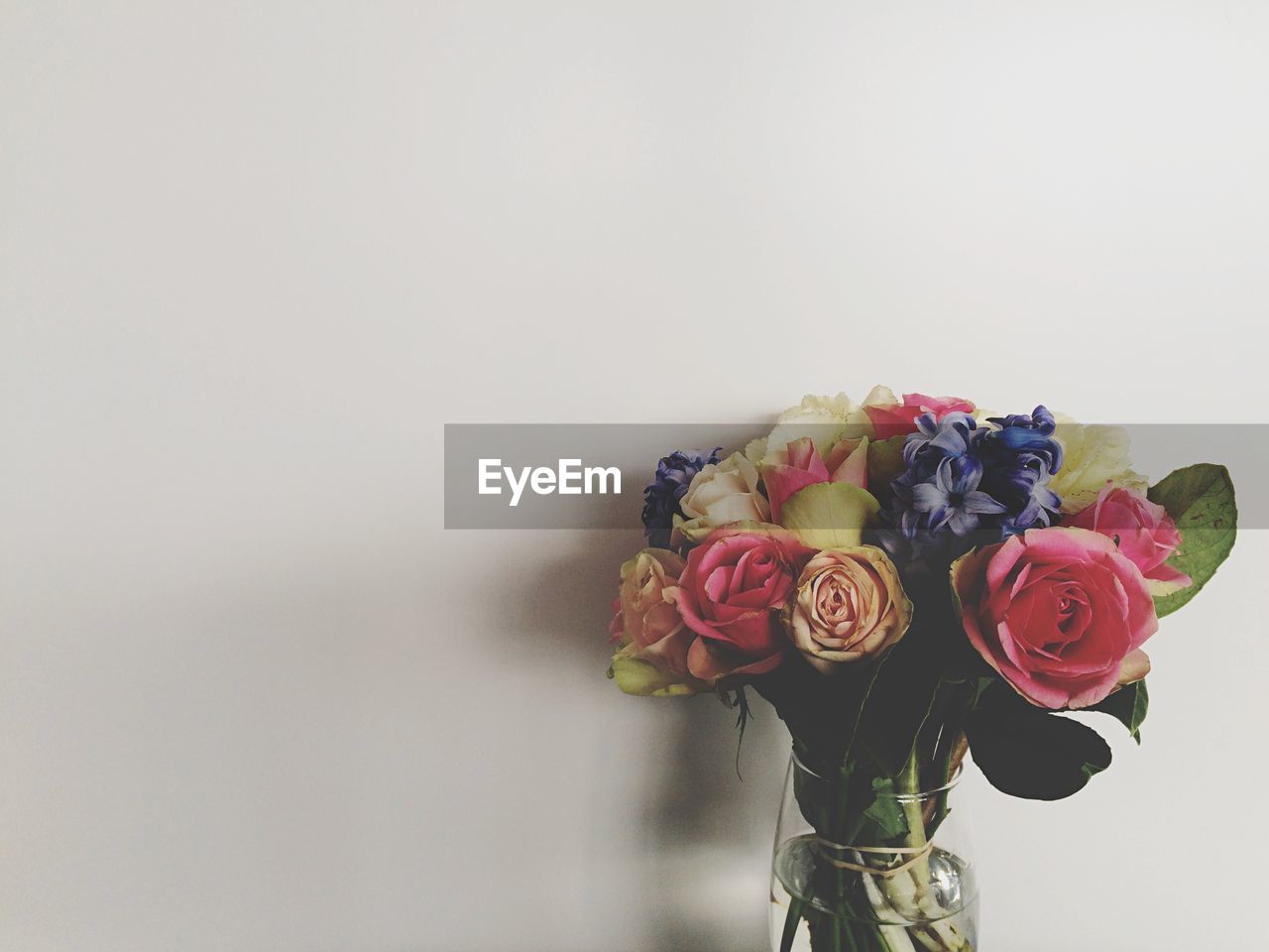 Close-up of flowers in vase against wall