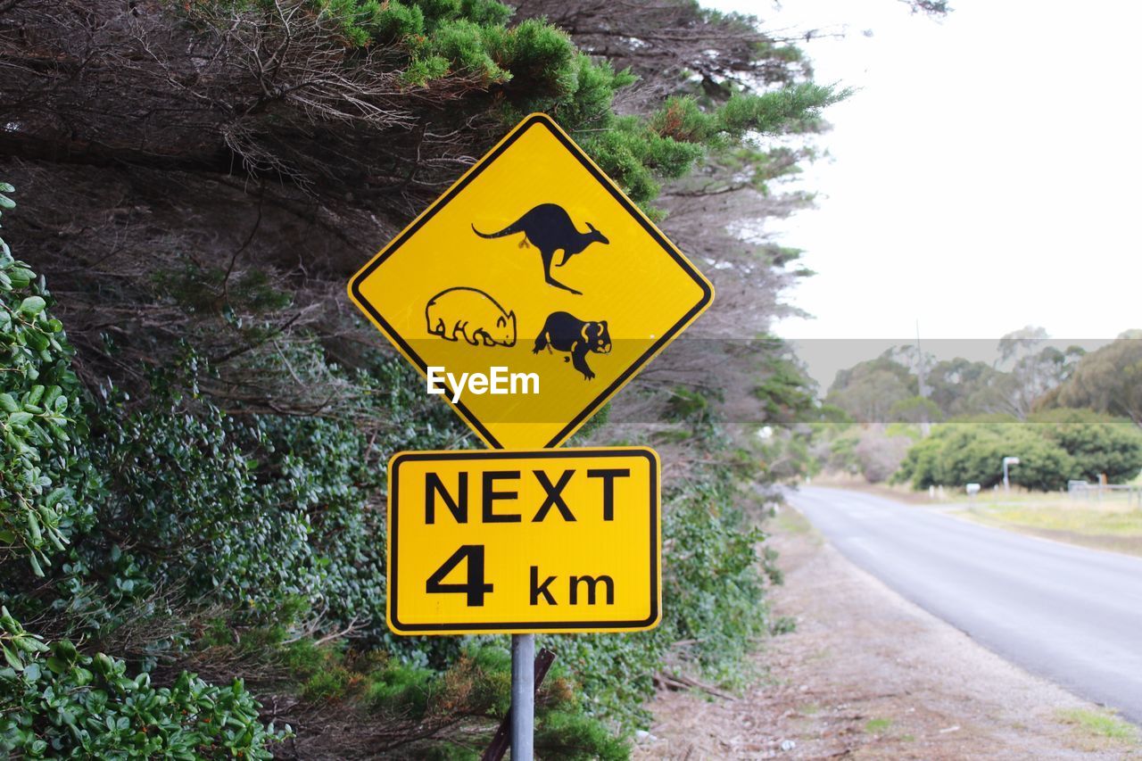 Close-up of road sign against trees