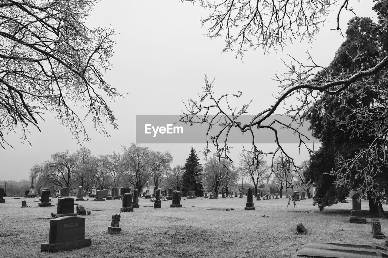 Tombstones and bare trees in graveyard against sky