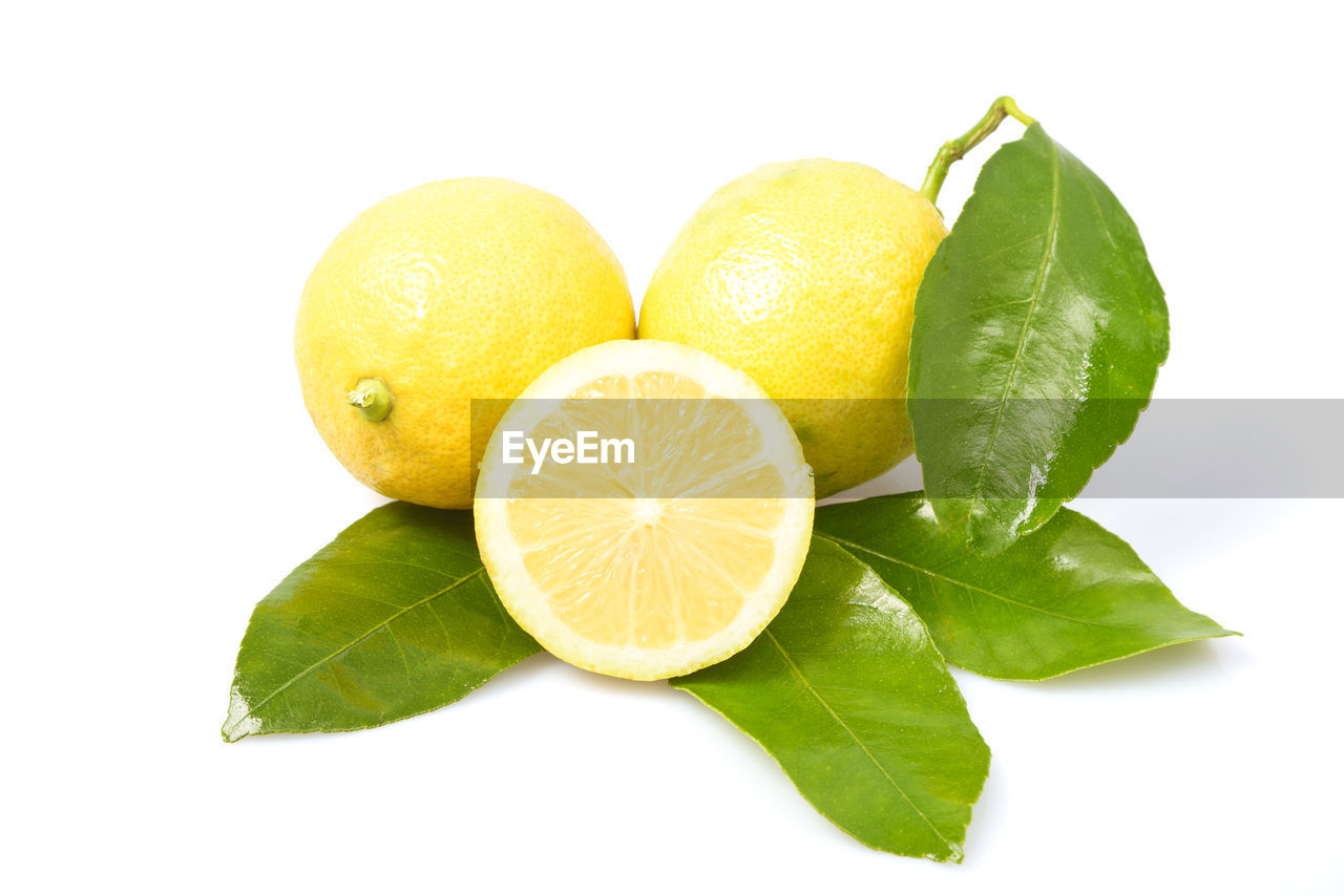 CLOSE-UP OF YELLOW FRUITS AND LEAVES