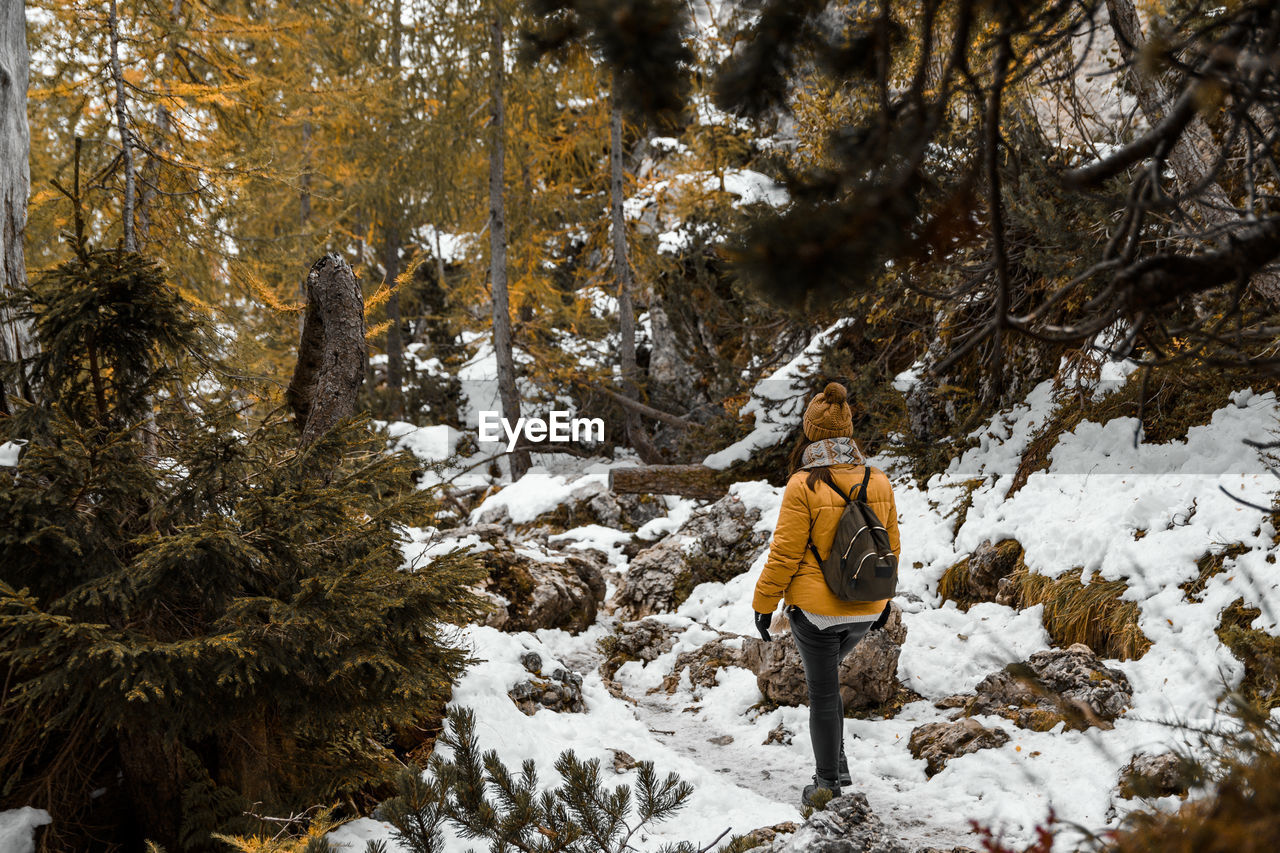 Rear view of young woman hiking on snowy path in woods in winter