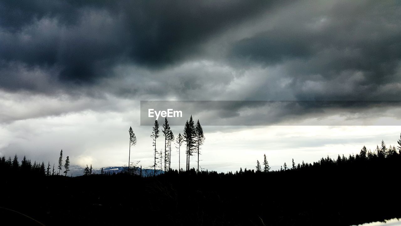 SCENIC VIEW OF LANDSCAPE AGAINST CLOUDY SKY