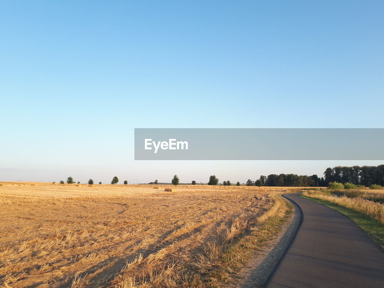 Scenic view of agricultural field against clear blue sky