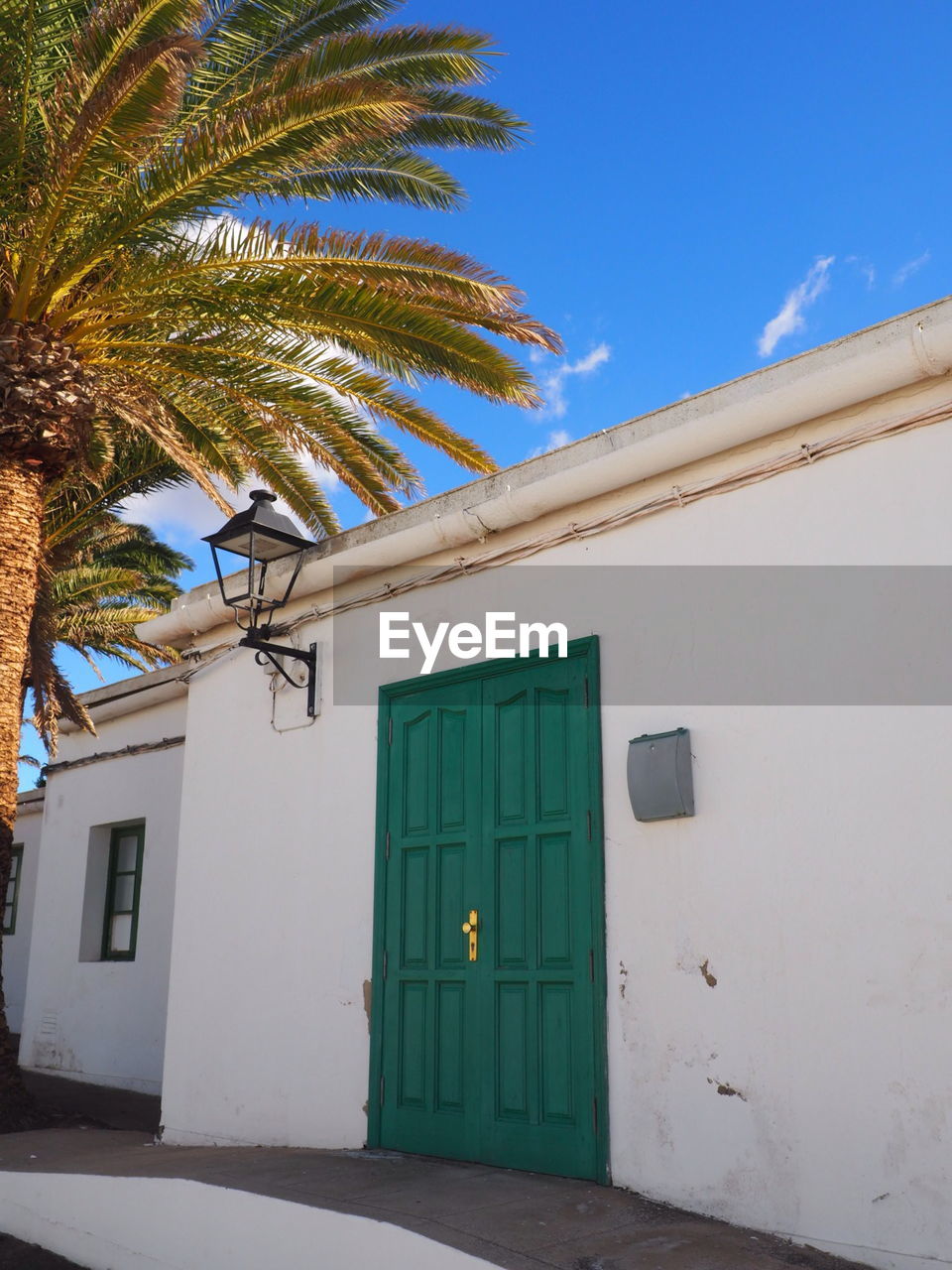 LOW ANGLE VIEW OF PALM TREE AGAINST BUILDING