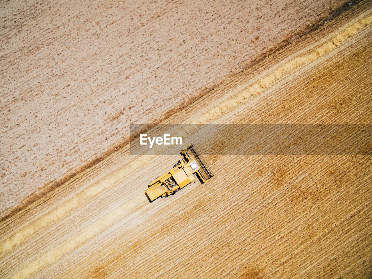 Aerial view of powerful fast yellow vehicle working on field cultivating harvest of wheat