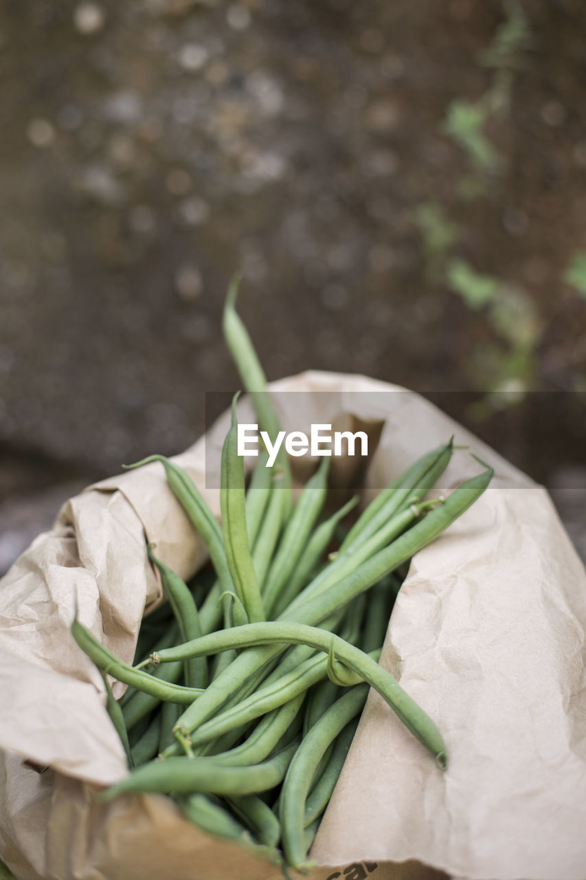 High angle view of vegetables