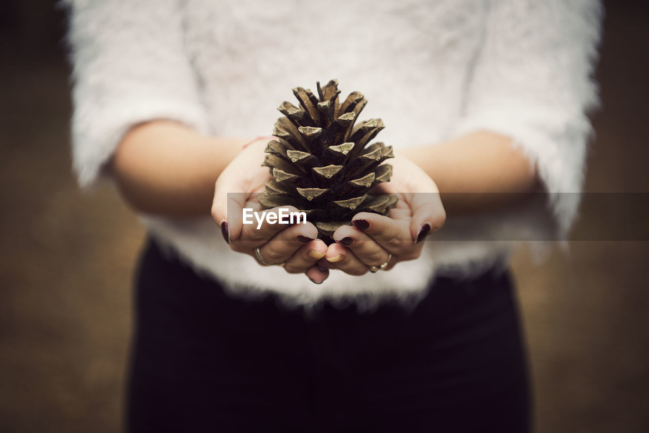 Midsection of woman holding pine cone