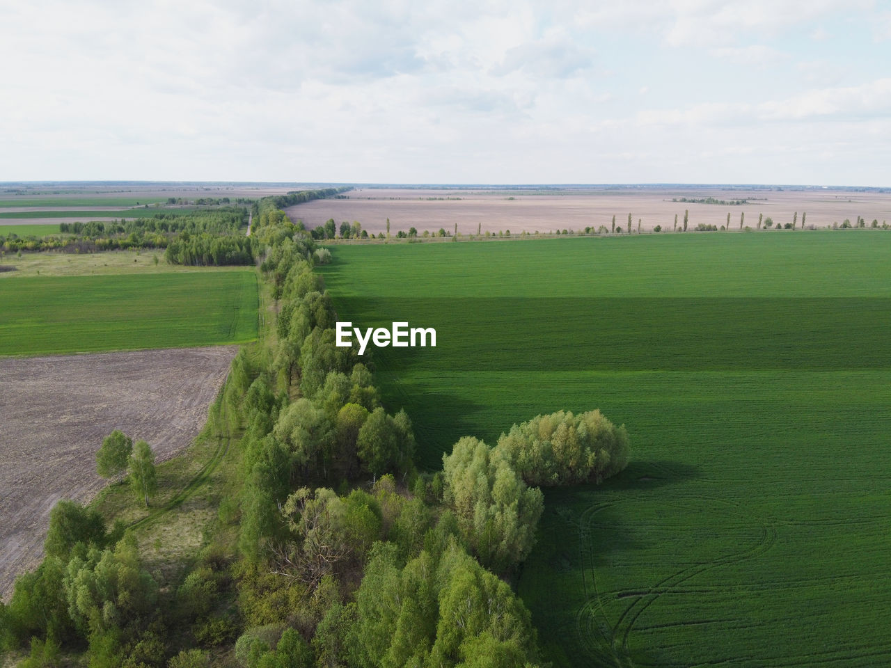 SCENIC VIEW OF FARM AGAINST SKY