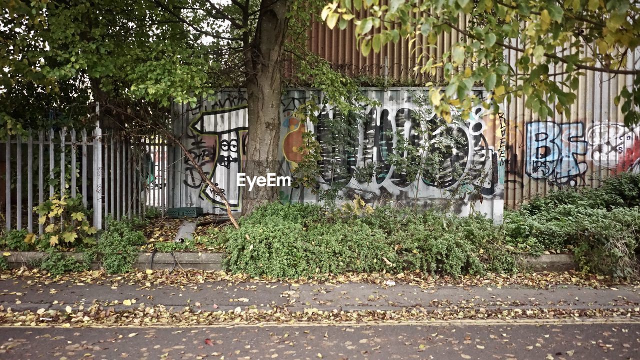 GRAFFITI ON WALL IN CITY
