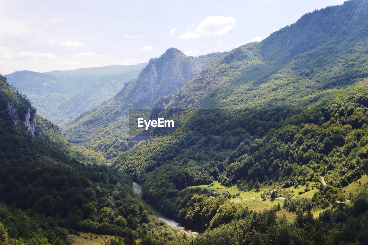 Scenic view of green mountain range against sky