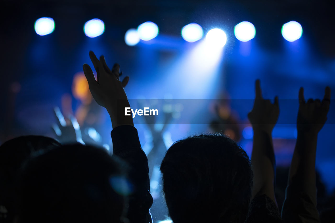 Crowd at music concert