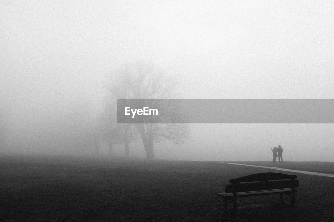 Tree and couple in a foggy scene 