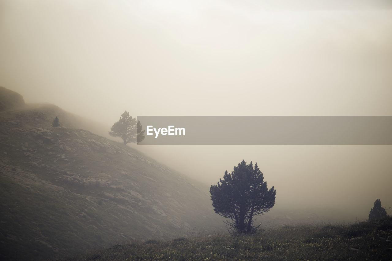 Mist in candanchu, pyrenees, canfranc valley in spain.