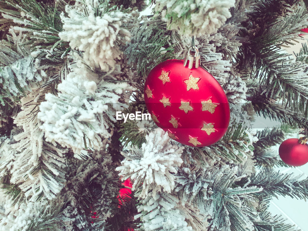 Close up view of a red christmas ball hanging on christmas tree