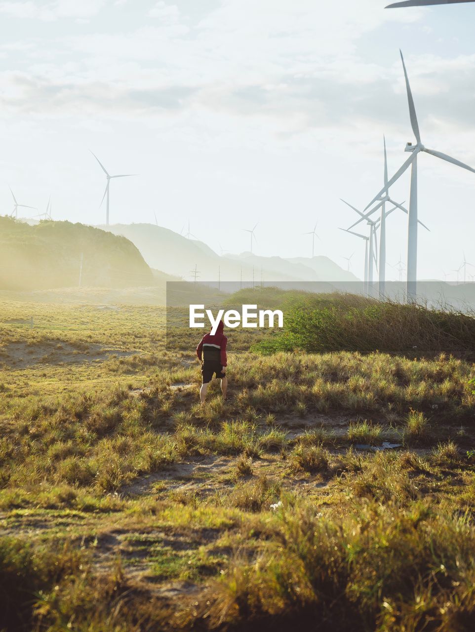 Rear view of man walking on land